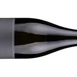 Flasche Wein mit dem Etikett "Vinosaurier. GRAU". Die Farbe des Weins ist ein zartes Grauburgunder.