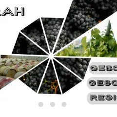 SYRAH: dunkle Trauben, Weinreben, Fässer und die Worte "Geschmack", "Geschichte", "Regionen". Ein Fest für den rotwein syrah.