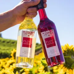 Zwei Flaschen Floc de Gascogne, ein Wein aus Gascogne, Frankreich, stehen vor einem Feld voller Sonnenblumen.