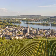 Blick über eine malerische weinregion in der eifel mit Weinbergen, einem Fluss und einer Stadt mit Kirchturm.