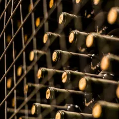 Reihe von dunklen Flaschen mit Korken, die in einem Regal gelagert werden. Vielleicht der teuerste Wein der Welt, der auf seine Reifung wartet.
