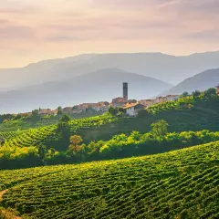 Sanfte Hügel im Veneto, bedeckt mit Weinreben, führen zu einem malerischen Dorf mit Kirchturm. Ein Ort, wo der Wein wächst.