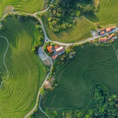 Sanfte Hügel mit terrassierten Weinbergen prägen diese malerische weinregion slowenien. Ein kleines Dorf schmiegt sich in die Landschaft.