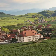 Idyllisches Dorf in Frankreich, umgeben von Weinbergen. Perfekt für eine Weinjahrgangstabelle Frankreich.