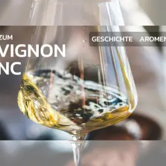Ein Glas Sauvignon Blanc wirbelt, sein frischer, zitrusartiger sauvignon blanc geschmack verspricht Genuss. Infos zu Geschichte, Aromen, Regionen.