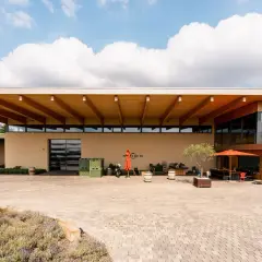 Modernes Weingut Rings in Freinsheim mit Holzdecken und Glasfronten, umgeben von Weinbergen.