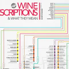 Weinbeschreibungen: Mineralität, Frucht, Blumen, Gewürze, Tannin, Säure, Alkohol, Körper. Ein fruchtiger Wein kann süß oder trocken sein.