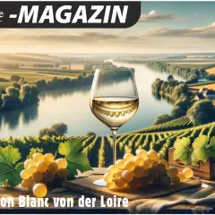 Ein Glas Sancerre Wein steht vor einer malerischen Weinlandschaft an der Loire. Trauben und Weinblätter zieren den Vordergrund.
