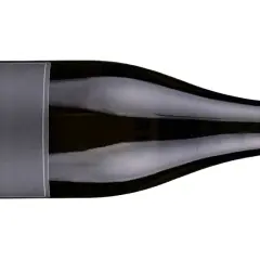 Flasche Wein mit dem Etikett "Vinosaurier. GRAU". Die Farbe des Weins ist ein zartes Grauburgunder.