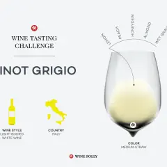 Pinot Grigio, ein trockener Weißwein aus Italien, mit Aromen von Zitrone, Pfirsich, Honigtau, Mandel und nassem Kies.