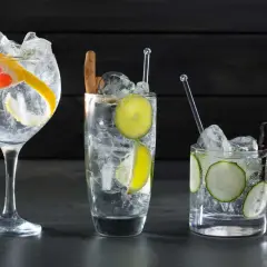 Drei erfrischende Gin Tonics mit Zitrone, Limette, Gurke und Gewürzen – so schmeckt Gin Tonic!