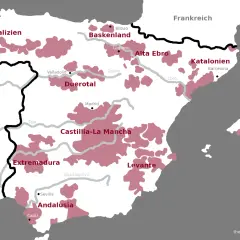 Karte Spaniens mit Weinanbaugebieten. Von Galizien bis Andalusien, jede Region bietet eine einzigartige spanische weinsorte.
