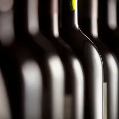 Reihe dunkler Weinflaschen, die wie ein **sasso al vento** im Schatten stehen. Das Licht spielt auf den glatten Oberflächen.