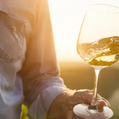 Ein Glas Weißwein, das im goldenen Licht der untergehenden Sonne schimmert. Die Hand, die es hält, gehört vielleicht Alvaro Palacios, einem Meister seines Fachs.