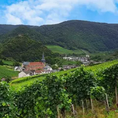Grüne Weinberge im Ahrtal mit einem Dorf und einer Kirche im Tal. Ein Weingut, das die Schönheit der Region widerspiegelt.