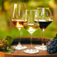 Drei Gläser Wein – Rosé, Weiß und Rot – stehen auf einem Holzfass. Daneben Trauben, die an einen Besuch im **Château Lafleur** erinnern.