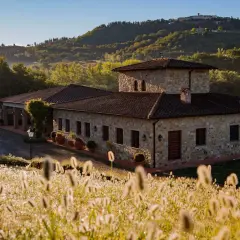 Steinhof mit Ziegeldach im Chianti, umgeben von Hügeln und Gräsern im Morgenlicht.
