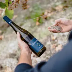 Mann hält Flasche bester Riesling Mosel neben Weinreben. Seine andere Hand zeigt Schiefergestein.