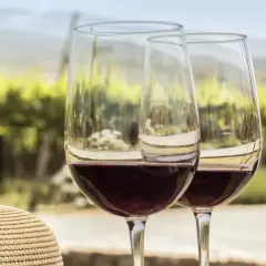 Zwei Gläser Rotwein, was ist Pinot Noir? Ein Genuss vor einer Weinrebenlandschaft.