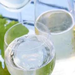 Erfrischende Weinschorle-Mischung im Glas, daneben eine Flasche Mineralwasser und grüne Weinblätter.