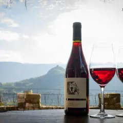 Flasche Rotwein und zwei Gläser auf einem Tisch vor malerischer Bergkulisse. Das Etikett zeigt "Dominikus Weingut".