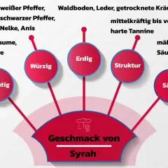 Geschmacksprofil der Syrah-Traube: Fruchtig, würzig, erdig, mit Struktur und Säure. Aromen von Beeren, Pfeffer, Leder.