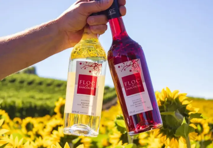 Zwei Flaschen Floc de Gascogne, ein Wein aus Gascogne, Frankreich, stehen vor einem Feld voller Sonnenblumen.