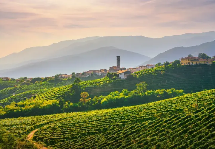 Sanfte Hügel im Veneto, bedeckt mit Weinreben, führen zu einem malerischen Dorf mit Kirchturm. Ein Ort, wo der Wein wächst.