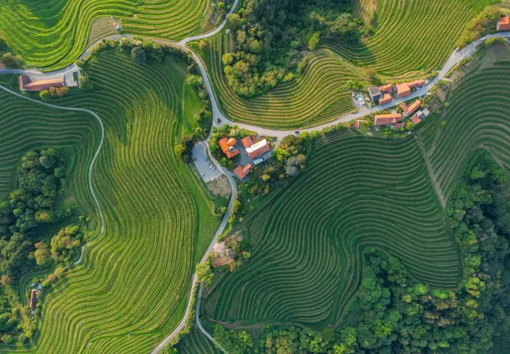 Sanfte Hügel mit terrassierten Weinbergen prägen diese malerische weinregion slowenien. Ein kleines Dorf schmiegt sich in die Landschaft.