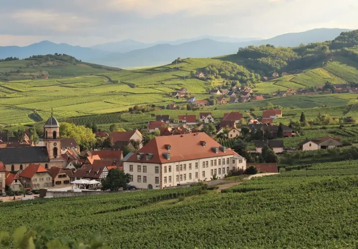 Idyllisches Dorf in Frankreich, umgeben von Weinbergen. Perfekt für eine Weinjahrgangstabelle Frankreich.