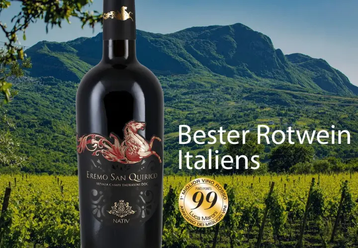 Flasche Rotwein vor malerischer Berglandschaft und Weinbergen. Luca Maroni vergibt 99 Punkte für diesen italienischen Spitzenwein.