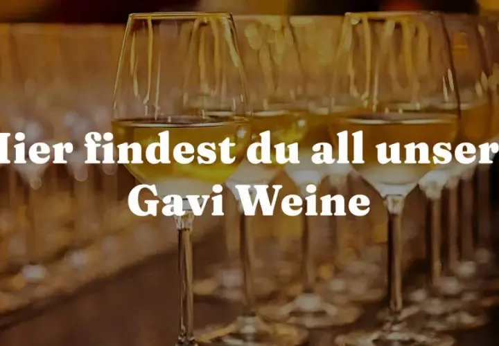 Reihe von Weingläsern mit weißem Wein. Hier findest du all unsere Gavi Weine, die ihre Herkunft im Piemont haben.