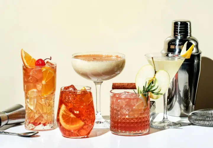 Erfrischende Gin Cocktails mit Früchten und Gewürzen, perfekt für Ihre nächsten Gin Cocktails Rezepte.
