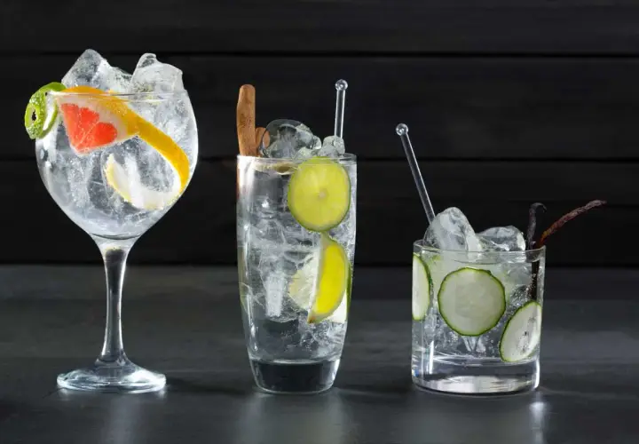 Drei erfrischende Gin Tonics mit Zitrone, Limette, Gurke und Gewürzen – so schmeckt Gin Tonic!
