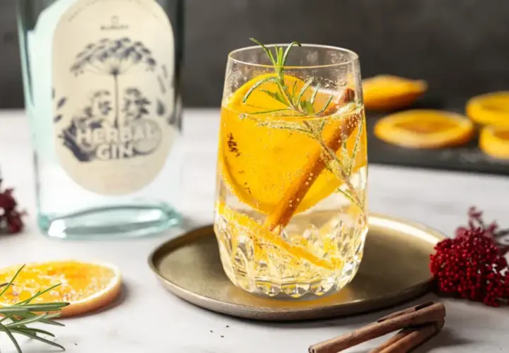 Erfrischendes rezept mit gin: Glas gefüllt mit Gin-Tonic, garniert mit Orangenscheiben, Rosmarin und Zimtstange. Daneben eine Flasche "Herbal Gin".