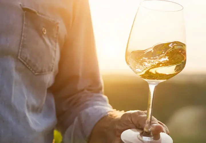 Ein Glas Weißwein, das im goldenen Licht der untergehenden Sonne schimmert. Die Hand, die es hält, gehört vielleicht Alvaro Palacios, einem Meister seines Fachs.