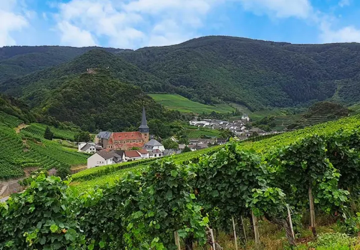 Grüne Weinberge im Ahrtal mit einem Dorf und einer Kirche im Tal. Ein Weingut, das die Schönheit der Region widerspiegelt.