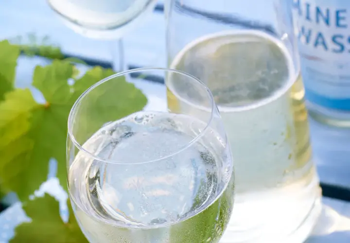 Erfrischende Weinschorle-Mischung im Glas, daneben eine Flasche Mineralwasser und grüne Weinblätter.