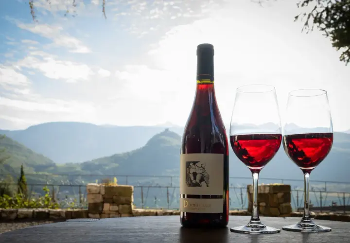 Flasche Rotwein und zwei Gläser auf einem Tisch vor malerischer Bergkulisse. Das Etikett zeigt "Dominikus Weingut".