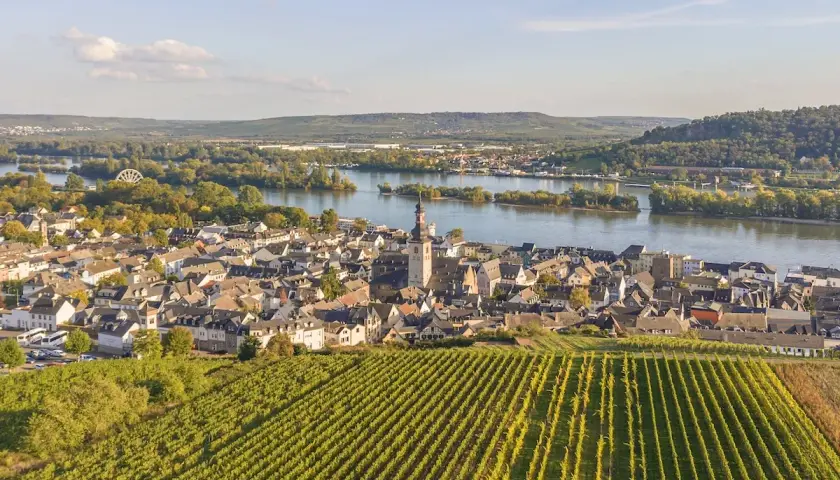 Blick über eine malerische weinregion in der eifel mit Weinbergen, einem Fluss und einer Stadt mit Kirchturm.
