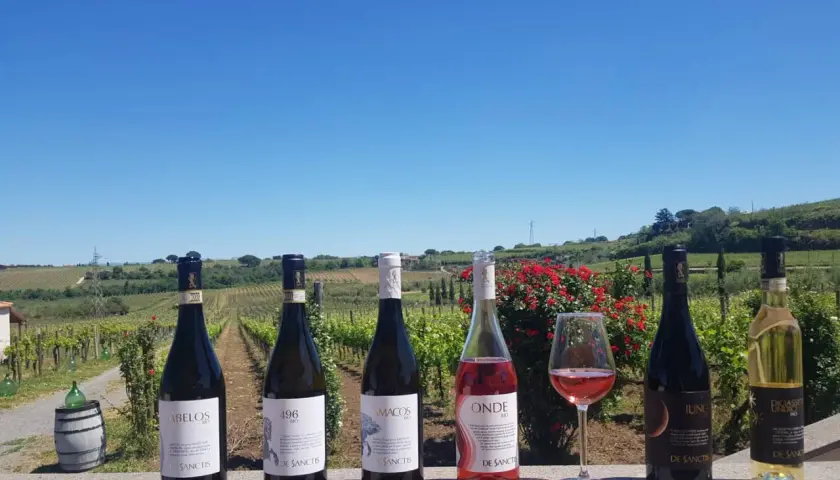 Sechs Flaschen Wein und ein Glas Rosé stehen vor einer Weinrebenlandschaft. Hier wird Wein nahe der Stadt Rom angebaut.