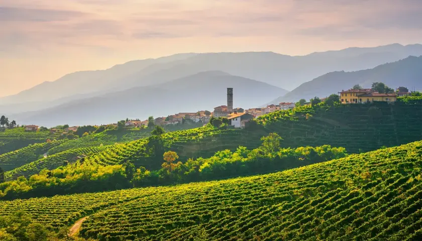 Sanfte Hügel im Veneto, bedeckt mit Weinreben, führen zu einem malerischen Dorf mit Kirchturm. Ein Ort, wo der Wein wächst.