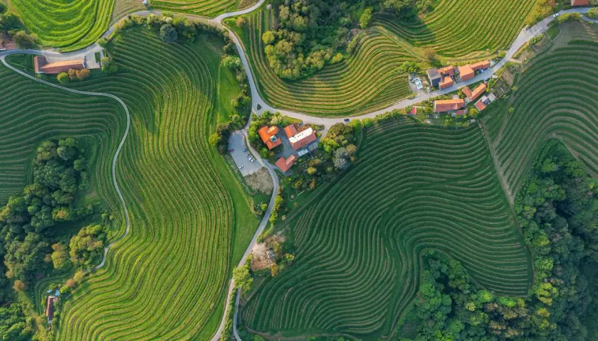 Sanfte Hügel mit terrassierten Weinbergen prägen diese malerische weinregion slowenien. Ein kleines Dorf schmiegt sich in die Landschaft.