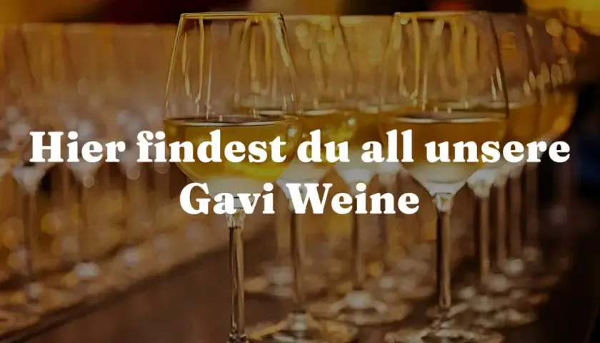 Reihe von Weingläsern mit weißem Wein. Hier findest du all unsere Gavi Weine, die ihre Herkunft im Piemont haben.