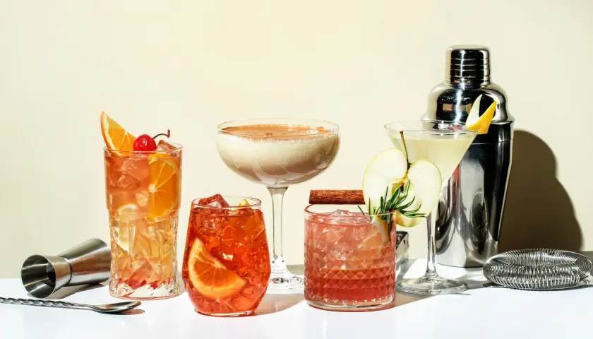 Erfrischende Gin Cocktails mit Früchten und Gewürzen, perfekt für Ihre nächsten Gin Cocktails Rezepte.