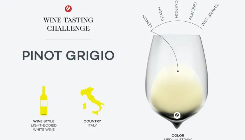 Pinot Grigio, ein trockener Weißwein aus Italien, mit Aromen von Zitrone, Pfirsich, Honigtau, Mandel und nassem Kies.