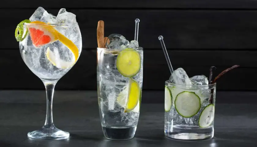 Drei erfrischende Gin Tonics mit Zitrone, Limette, Gurke und Gewürzen – so schmeckt Gin Tonic!