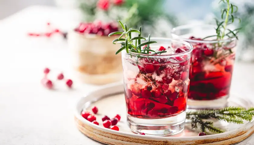 Zwei erfrischende Silvester Cocktails mit Gin, Cranberries und Rosmarin auf einem Teller.