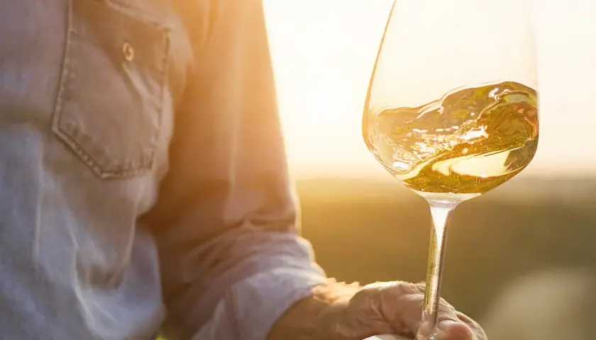 Ein Glas Weißwein, das im goldenen Licht der untergehenden Sonne schimmert. Die Hand, die es hält, gehört vielleicht Alvaro Palacios, einem Meister seines Fachs.