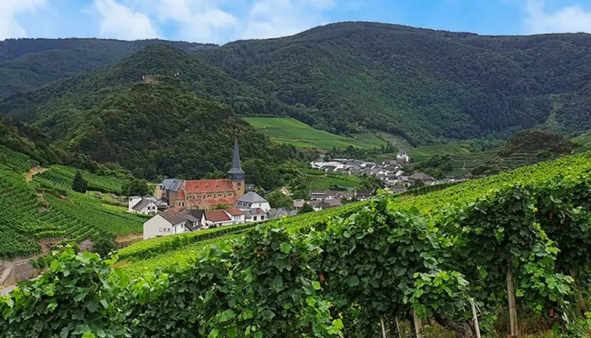 Grüne Weinberge im Ahrtal mit einem Dorf und einer Kirche im Tal. Ein Weingut, das die Schönheit der Region widerspiegelt.